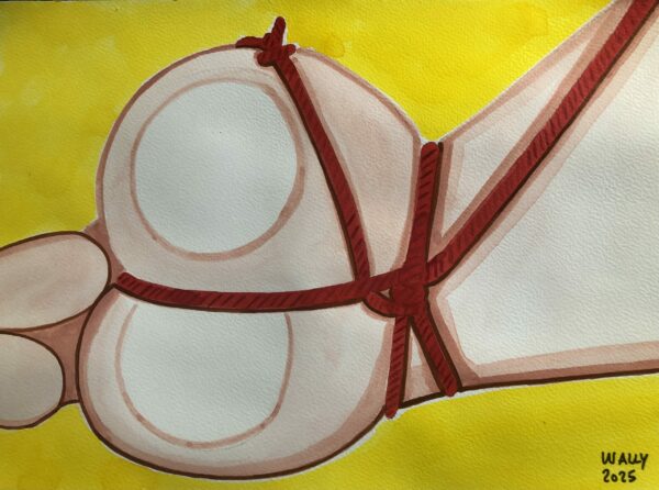 Illustration aquarelle format A4 sur le theme SHIBARI