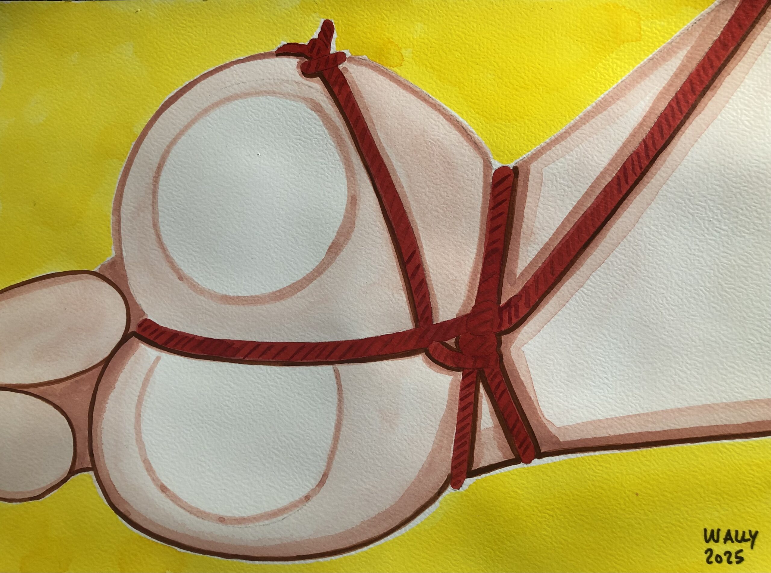 Illustration aquarelle format A4 sur le theme SHIBARI